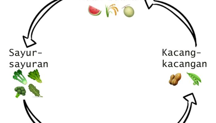 Pengenalan Pola Rotasi Tanaman Untuk Menghindari Depleksi Tanah