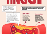 Pengaruh Obesitas Terhadap Kolesterol