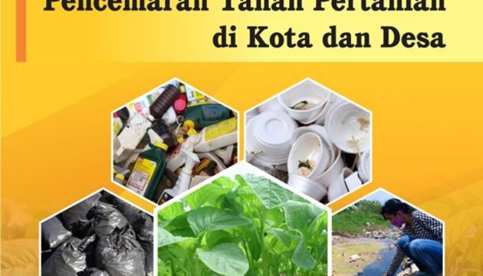 Mengatasi Permasalahan Pencemaran Tanah Akibat Pertanian Konvensional