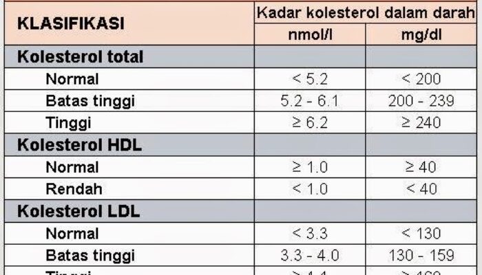 Cara Menjaga Kolesterol Dalam Batas Normal Bagi Penderita Hipertensi