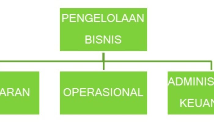 Pengelolaan Bisnis