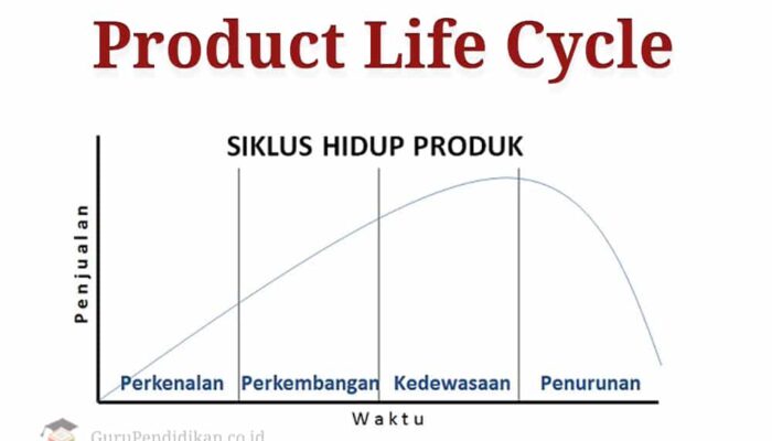 Memahami Siklus Hidup Produk Dan Penyesuaian Produk