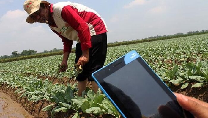 Peran Pendidikan Pertanian Dalam Meningkatkan Produktivitas