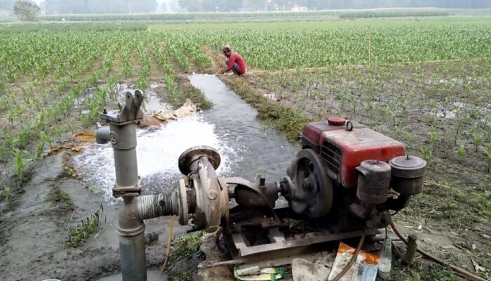 Cara Memilih Sistem Drainase Yang Efektif Untuk Ladang Pertanian