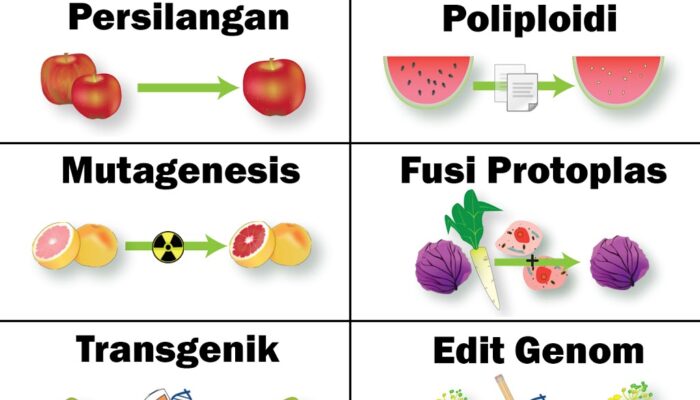 Panduan Memulai Kebun Percobaan Untuk Pemuliaan Tanaman