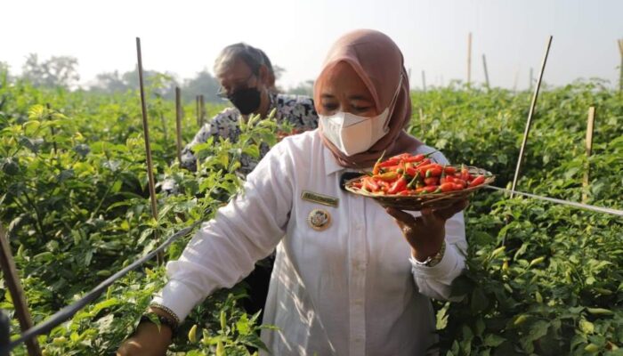 Inovasi Teknologi Cerdas Untuk Mendukung Kemandirian Pangan