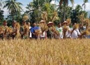 Hari Krida Pertanian, wujud apresiasi terhadap para petani