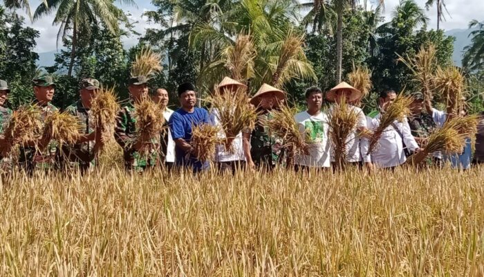 Hari Krida Pertanian, wujud apresiasi terhadap para petani