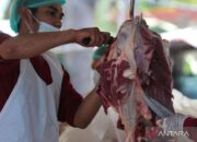 Resep sajian daging kambing muda untuk Idul Adha