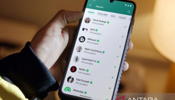 Cara menyadap WhatsApp tanpa unduh perangkat lunak