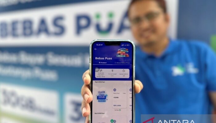 Cara cek pulsa juga kuota  XL