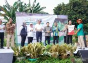 Pupuk Indonesia-Kejaksaan Agung tingkatkan produktivitas urban farming