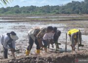 Wamentan serap permasalahan petani sawah tadah hujan Daerah Perkotaan Balikpapan