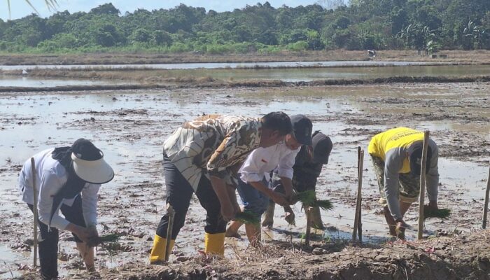 Wamentan serap permasalahan petani sawah tadah hujan Daerah Perkotaan Balikpapan