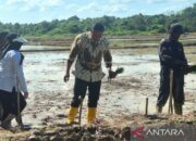 Kementan siapkan inisiatif cetak sawah jelang transisi pemerintahan