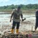 Kementan siapkan inisiatif cetak sawah jelang transisi pemerintahan